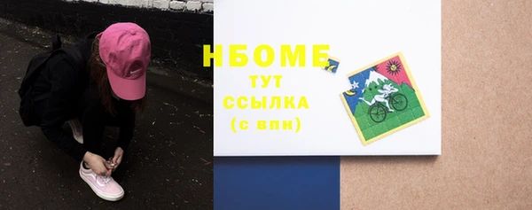 стафф Каменка