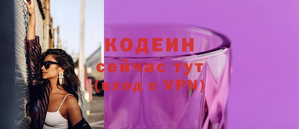 стафф Каменка