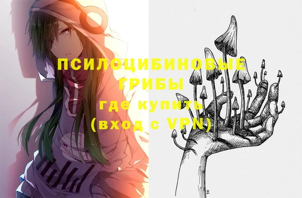 стафф Каменка