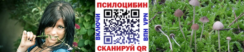 Псилоцибиновые грибы мицелий  Купить закладки  Губаха 
