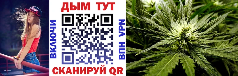 Купить где  Губаха  Канабис Bruce Banner 